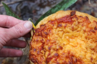 Pizza buns: when you lose your paint chips in the field